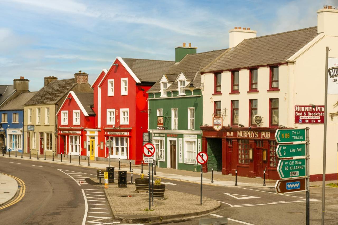 The Quayside B&B Dingle Exterior photo