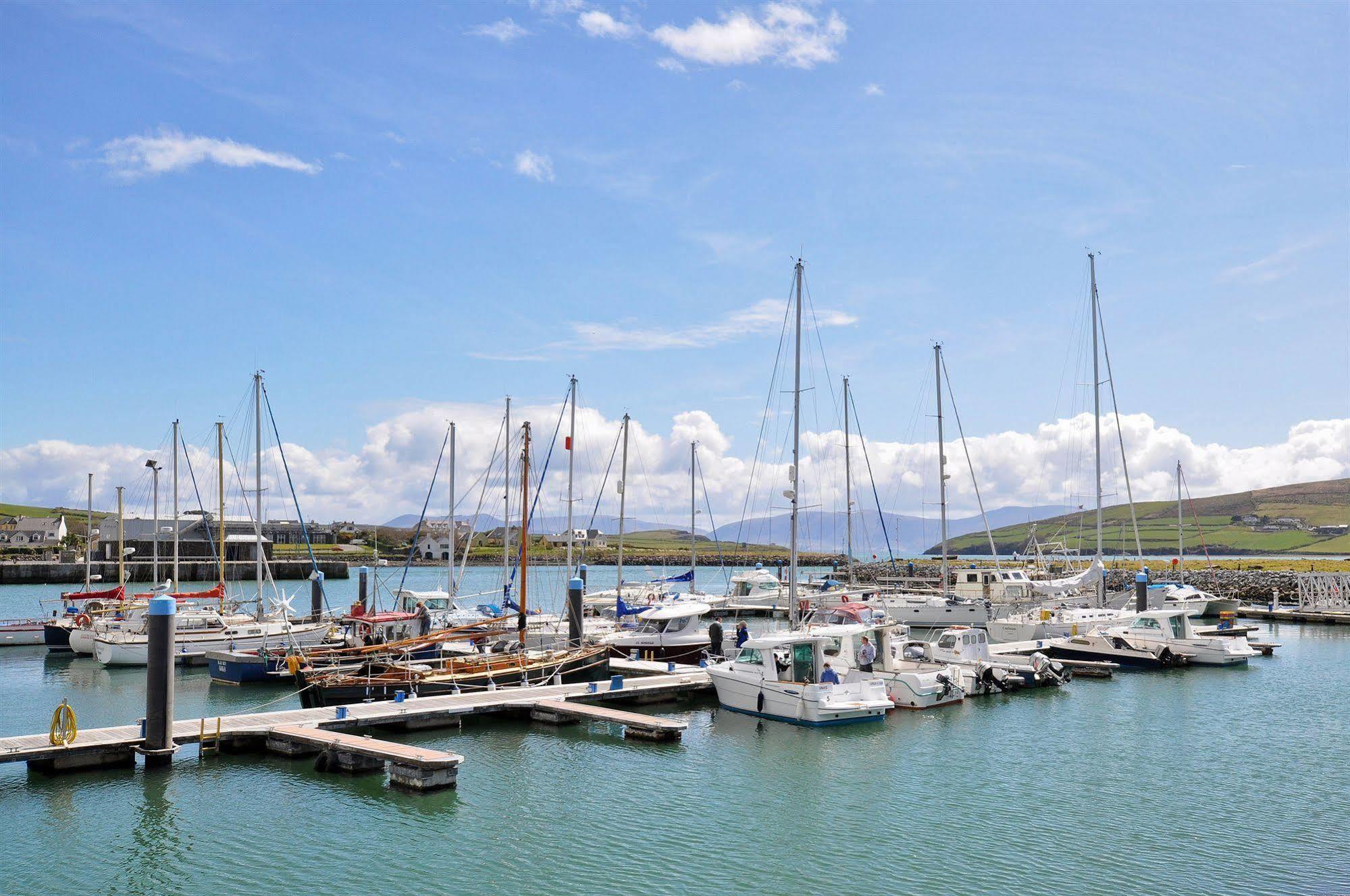 The Quayside B&B Dingle Exterior photo